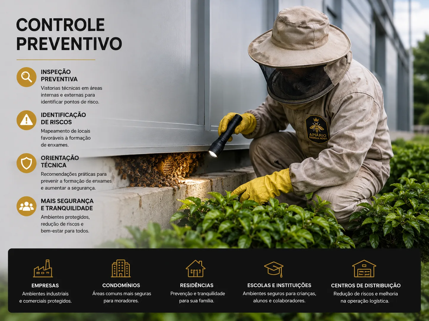 Serviço de controle preventivo de abelhas com inspeção técnica e identificação de pontos de risco